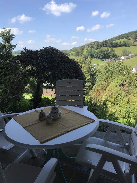 Artgerecht Vintage Villa Bad Berleburg Eksteriør billede